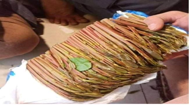 أبرزها القات.. موجة الصقيع في اليمن تتسبب في ارتفاع أسعار المحاصيل الزراعية