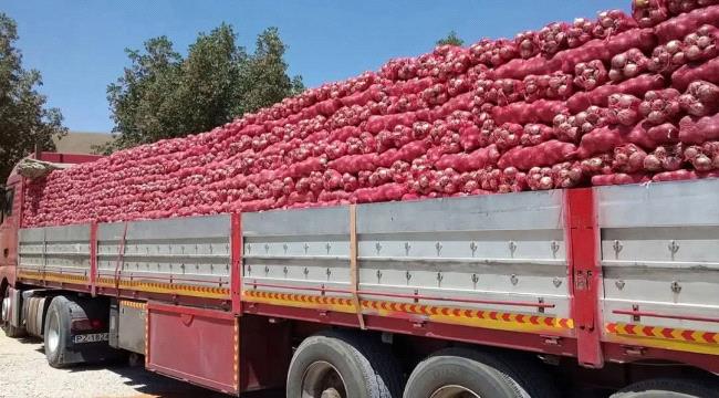 انخفاض كبير في سعر البصل في عدن لهذا السبب
