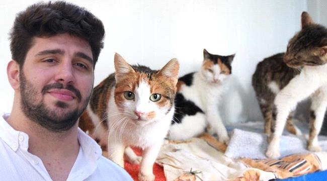 شاب تركي يفقد البصر بسبب إطعام القطط.. ماذا حدث؟
