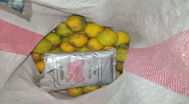 حضرموت.. مكافحة المخدرات بساحل تُحبط عملية ترويج وتضبط كمية كبيرة من مادة الحشيش المخدر