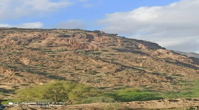 تاريخ أبين في كتب الرحالة والجغرافيين 