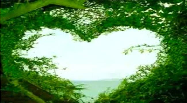 رباعية الحال والمآل