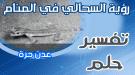 رؤية « السحالي » في المنام.. تفسير حلم السحلية  ...
