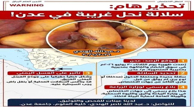 جامعة عدن ترصد سلالة نحل عسل جديدة في سوق المنصورة