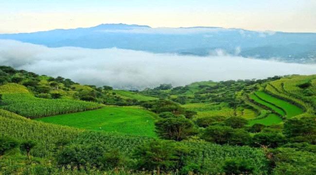 الوادي المقدس طوى وجبل الطور في اليمن