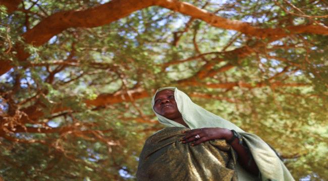حراك سوداني في نيروبي لبناء وطن جديد